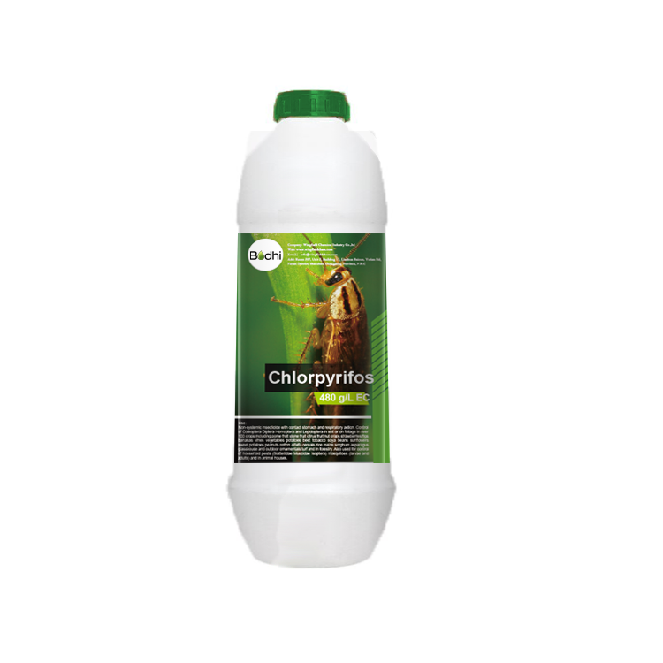 Chlorpyrifos